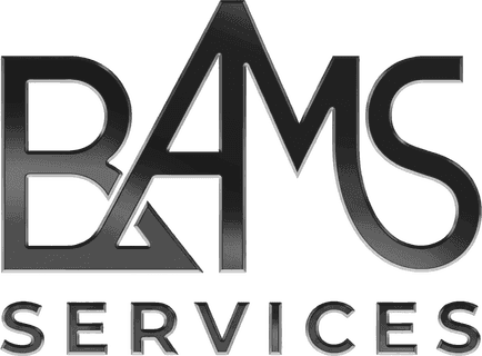 BAMS Services